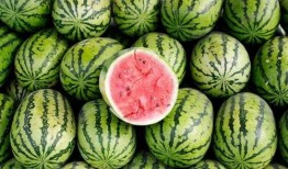 必吃大瓜今日大瓜